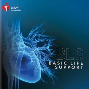 BLS Provider